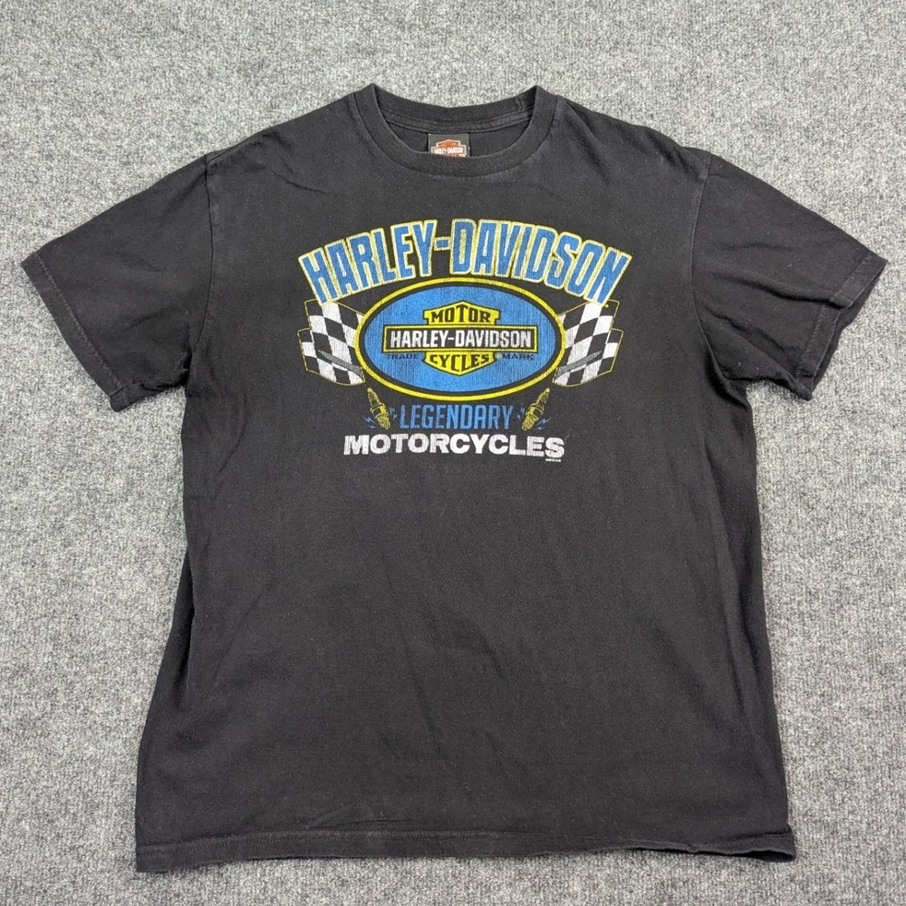 Harley-Davidson Lake Geneva Wisconsin Eagle Graphic T-Shirt Black Mens Large